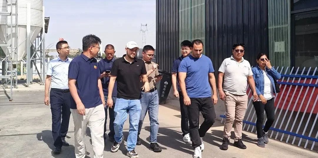 文化为媒 友谊生根 | 牡丹之乡绽放国际魅力