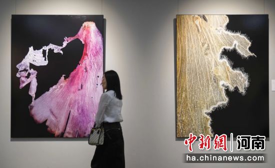 图为观众在参观王昆峰《国色·九歌》影像艺术展作品。马健 摄